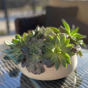 Meet your Posher, Deedra